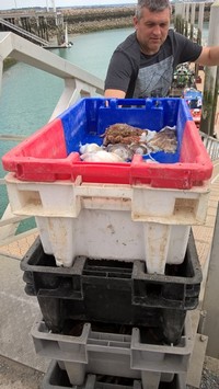 WP_20160507_14_40_00_Pro.jpg